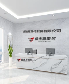 盛迪嘉支付股份有限公司